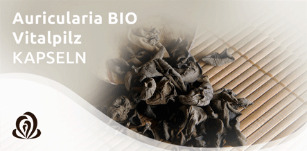Auricularia Auricularia
