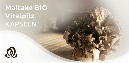 Maitake Maitake